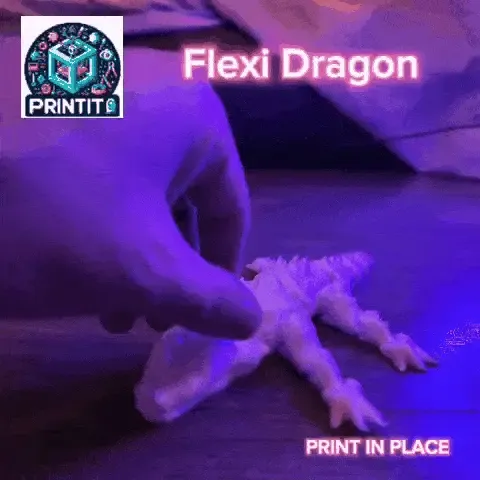 Flexi Dragon