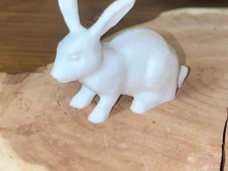 Rabbit