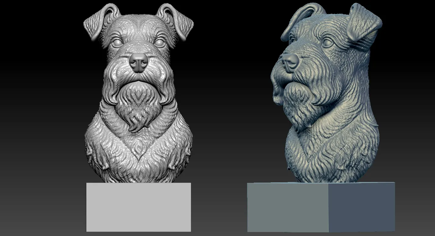 Miniature Schnauzer - Dwarf Schnauzer Dog model - 3D print