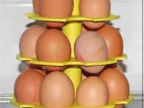 Egg Stand-4