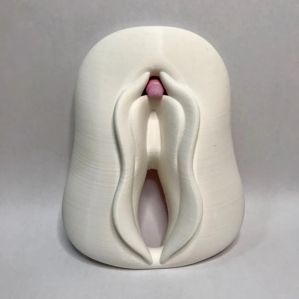 Clitoris anatomy