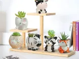 WhimsyAnimal Pots 🏡✨-4