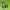 Dask shund Dog model - Statue - 3D print