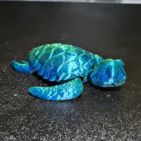 Baby Sea Turtle-2