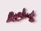 Baby Peacock Dragon-4