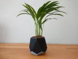 Diamond Hexagonal Planter-3