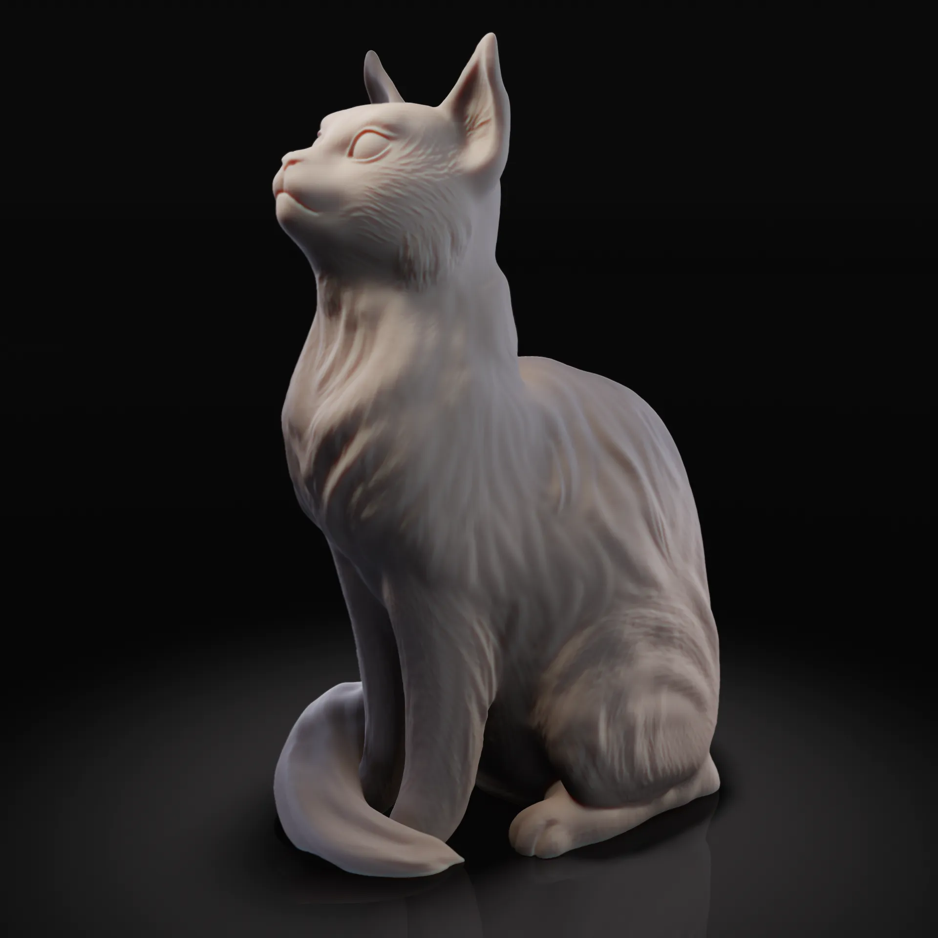 Sitting cat