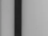 Microwave oven switch-2