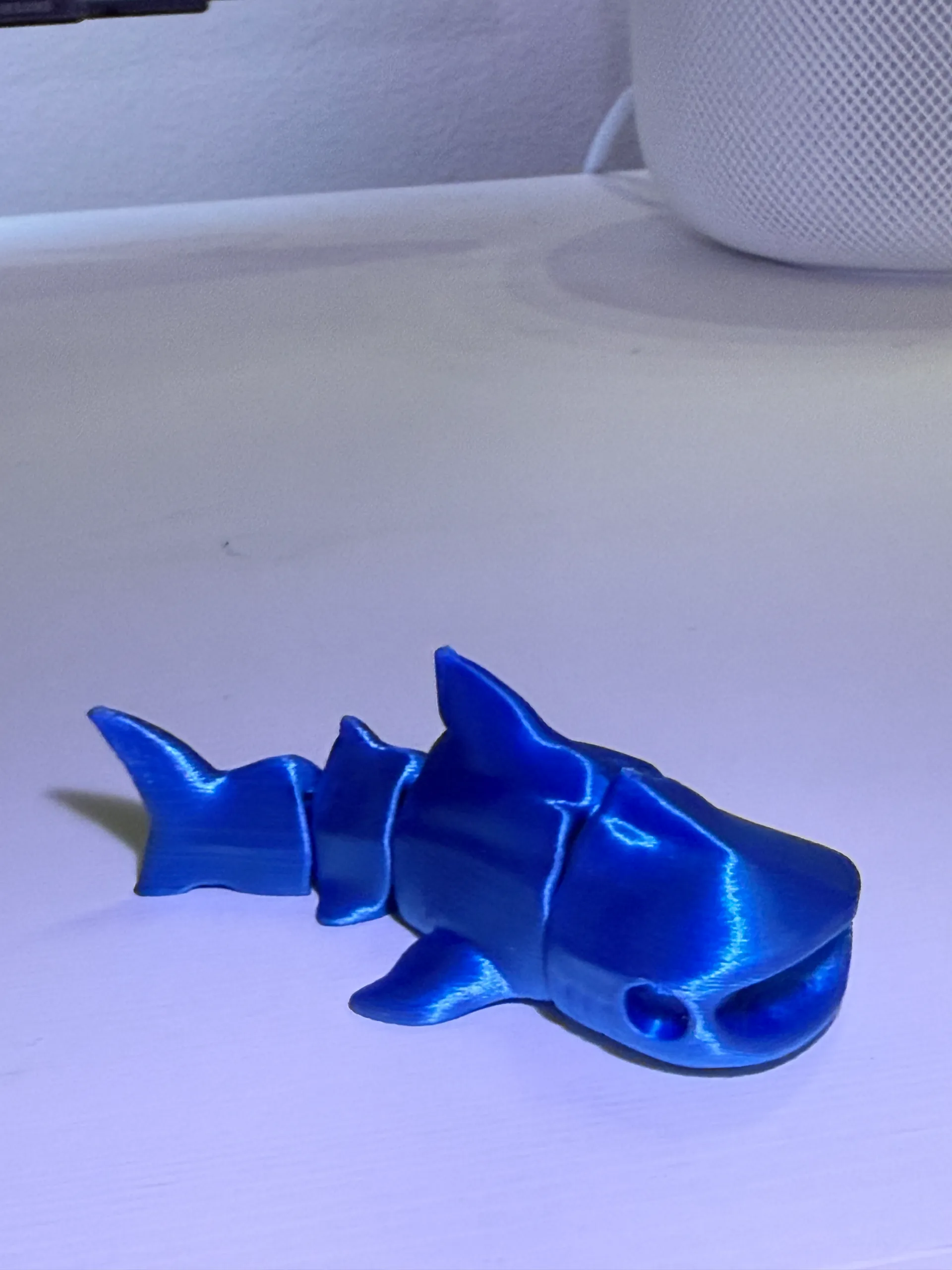 Shark-0