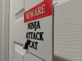 cat warning sign-2