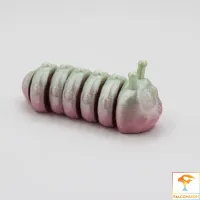 Goofy Apple Worm-2