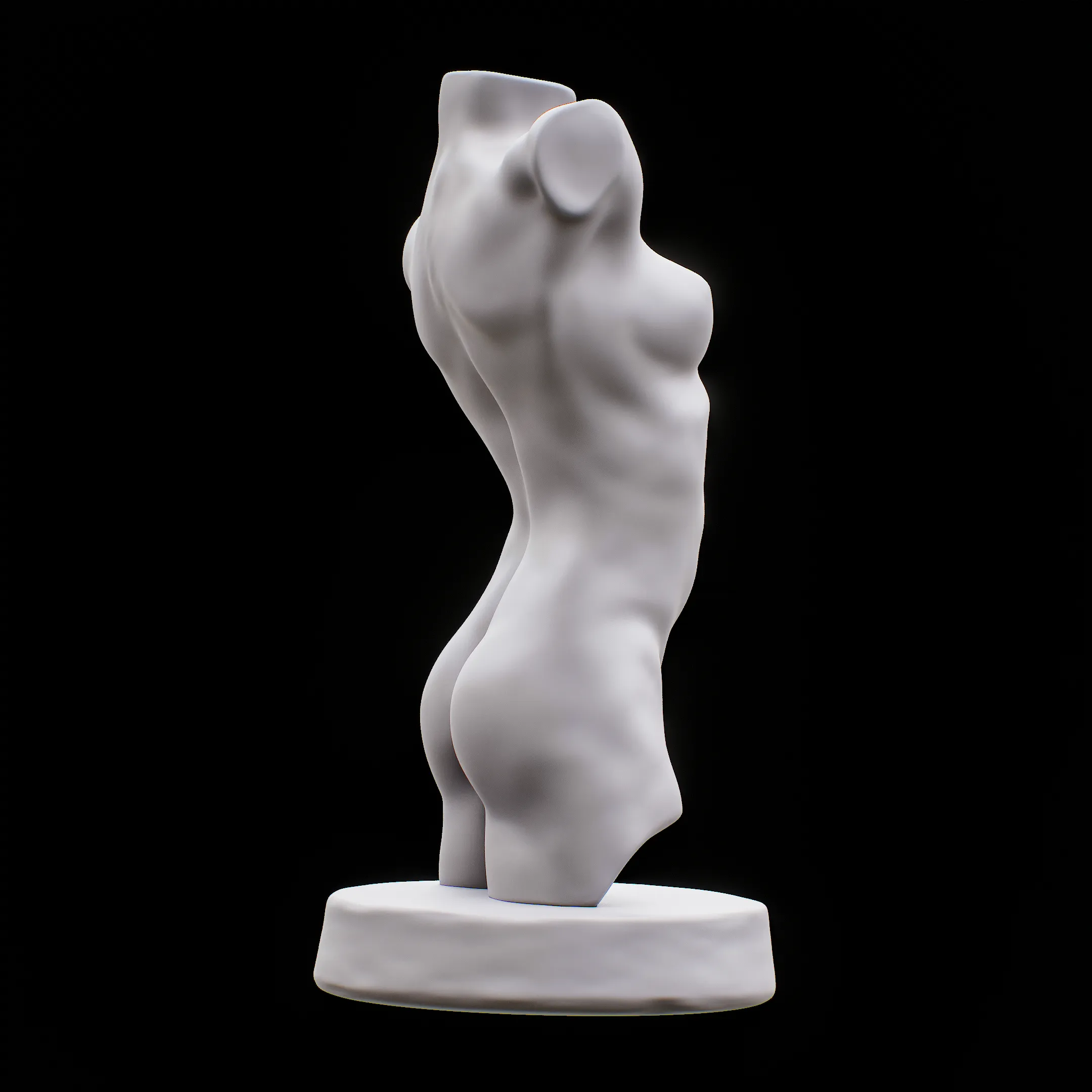 Female Torso for drawing art reference Muscle human Torso