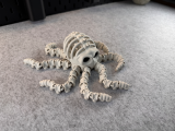 Articulated Skeleton Octopus-3