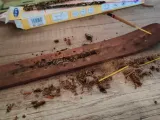 Incense Ash can-1