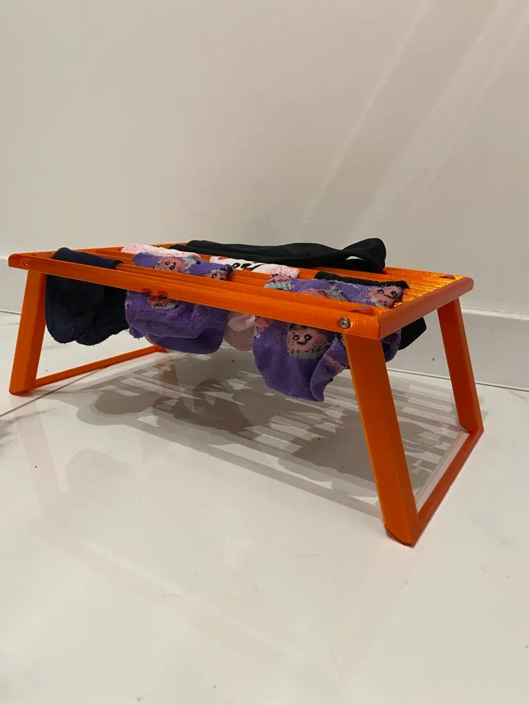 Handy laundry dryer