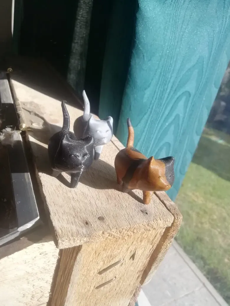 A simple cat