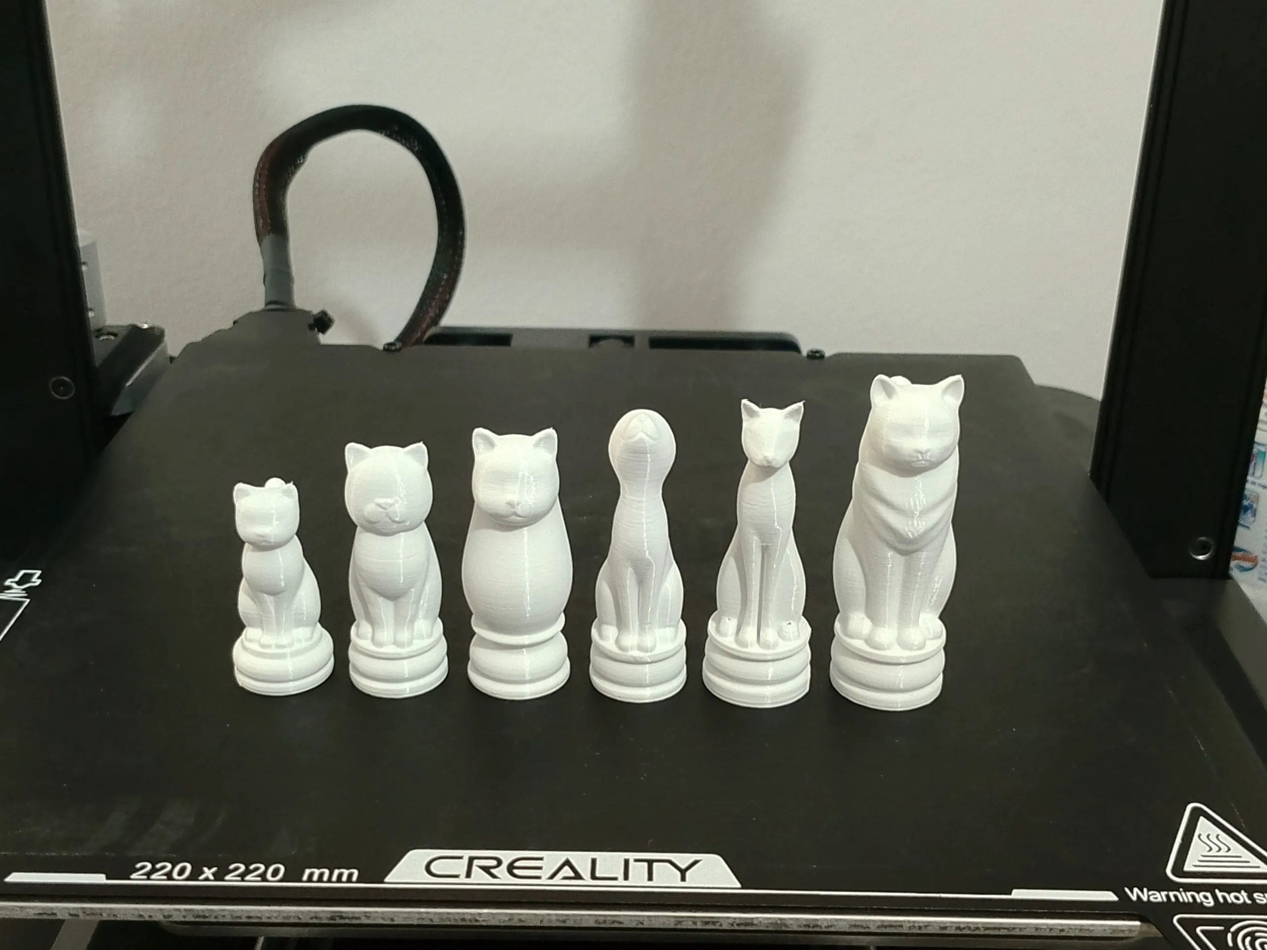Cat Chess - Battle for Land-1