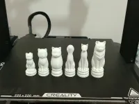 Cat Chess - Battle for Land-1