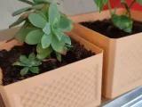 Planter-7