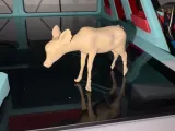 Fawn-1