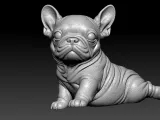 Bulldog model - america bully dog - 3D print-3