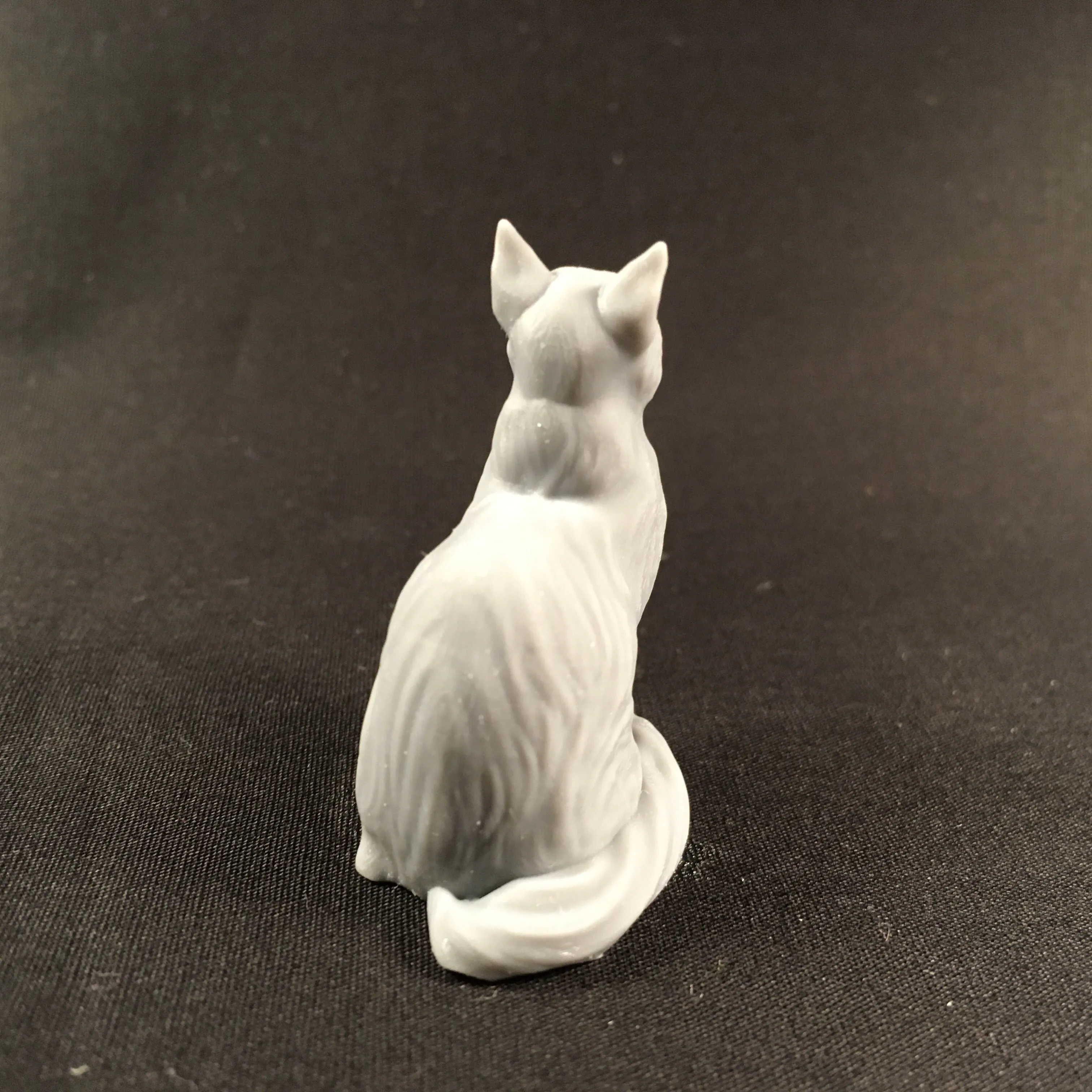 Sitting cat