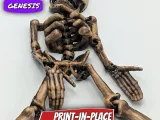 Flexi Skeleton-3