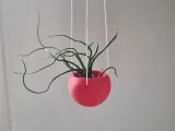 Minimal Hanging Planter-2