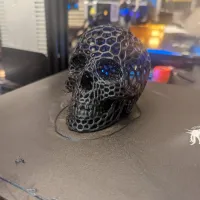 Voronoi-style Skull with no supports-4