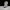 Couple Bear-Electric bick_work_Yier