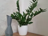 Angle Vase-1