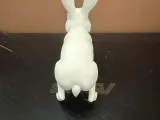 Jack Rabbit 01-2