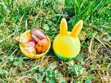 Egg for candy-0
