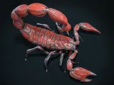 SCORPION-5