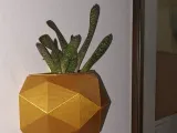 Vaso a Parete-1