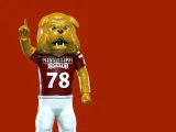 NCAA - Bully mascot -  Mississippi State University - 3d pri-3