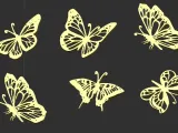 Butterfly Collection Pack-7
