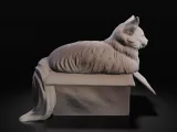 Fat cat in box-1