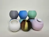 ハエトリグモの隠れ家-1
