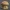 Cute Mushroom House 3D Design – Perfect for Desk or Table