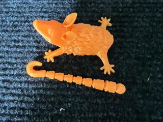 Hanging opossum