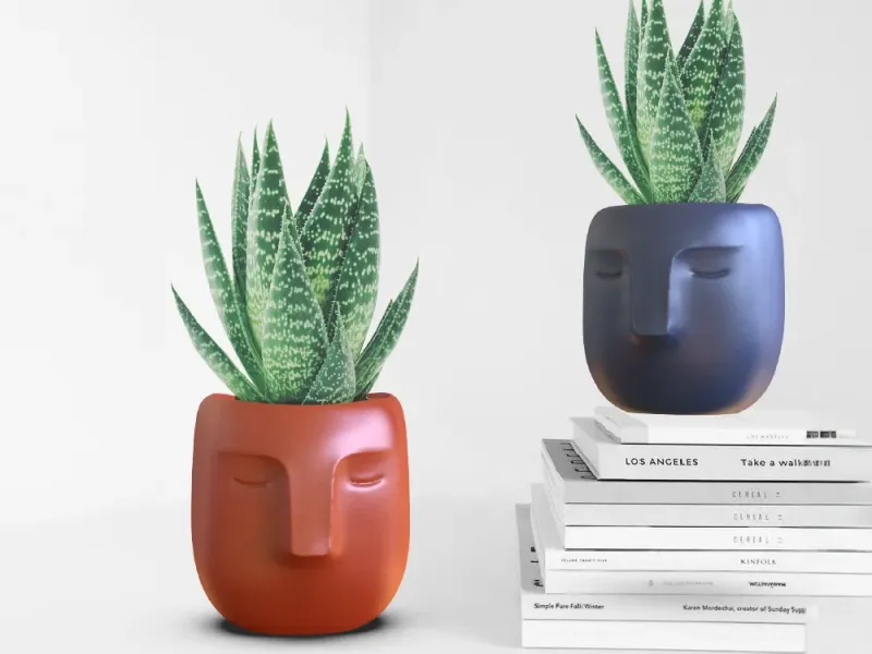 Face Planter, 3D Head Plant Pot, Minimalist Cute Flower Pot