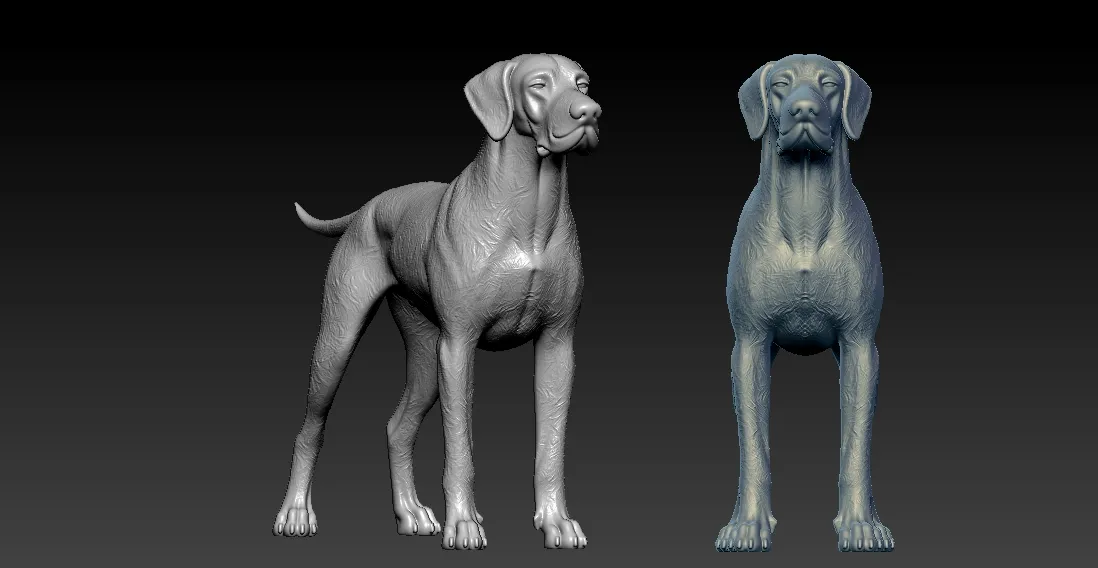 The Afador Breed model - 3D print