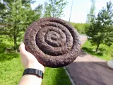 Frisbee poop-3