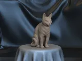 Cat-0