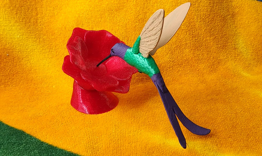 Colibrí