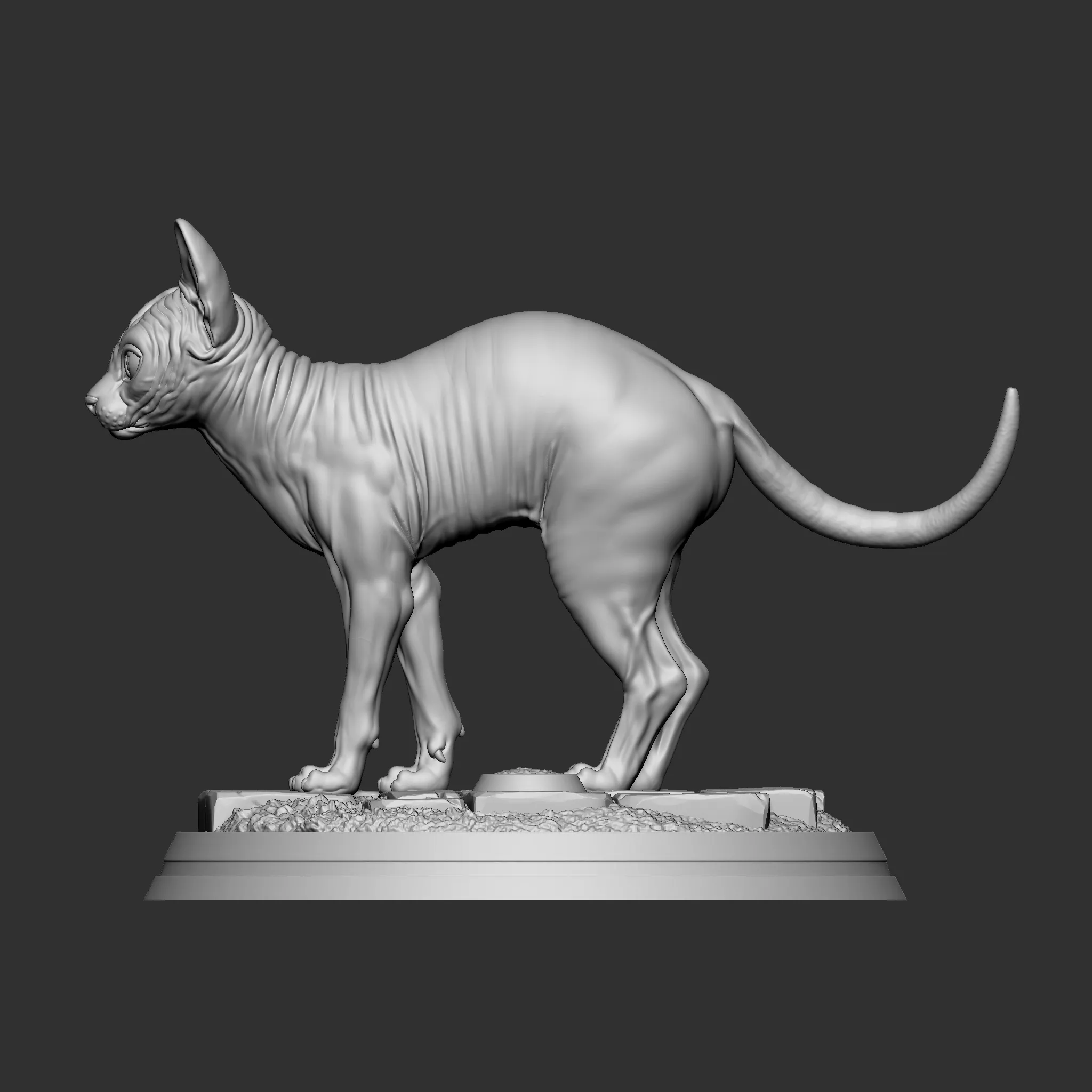 Sphynx-Katze