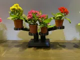 Flower Stand-3