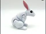 Adorable lapin articulé-5