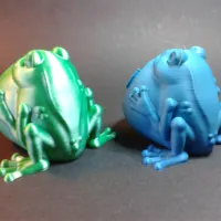 Frog keeps jewelry (not support)-3